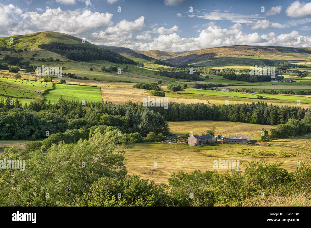 View of farmland and upland habitat, Reed Barn, Hodder Valley, Forest