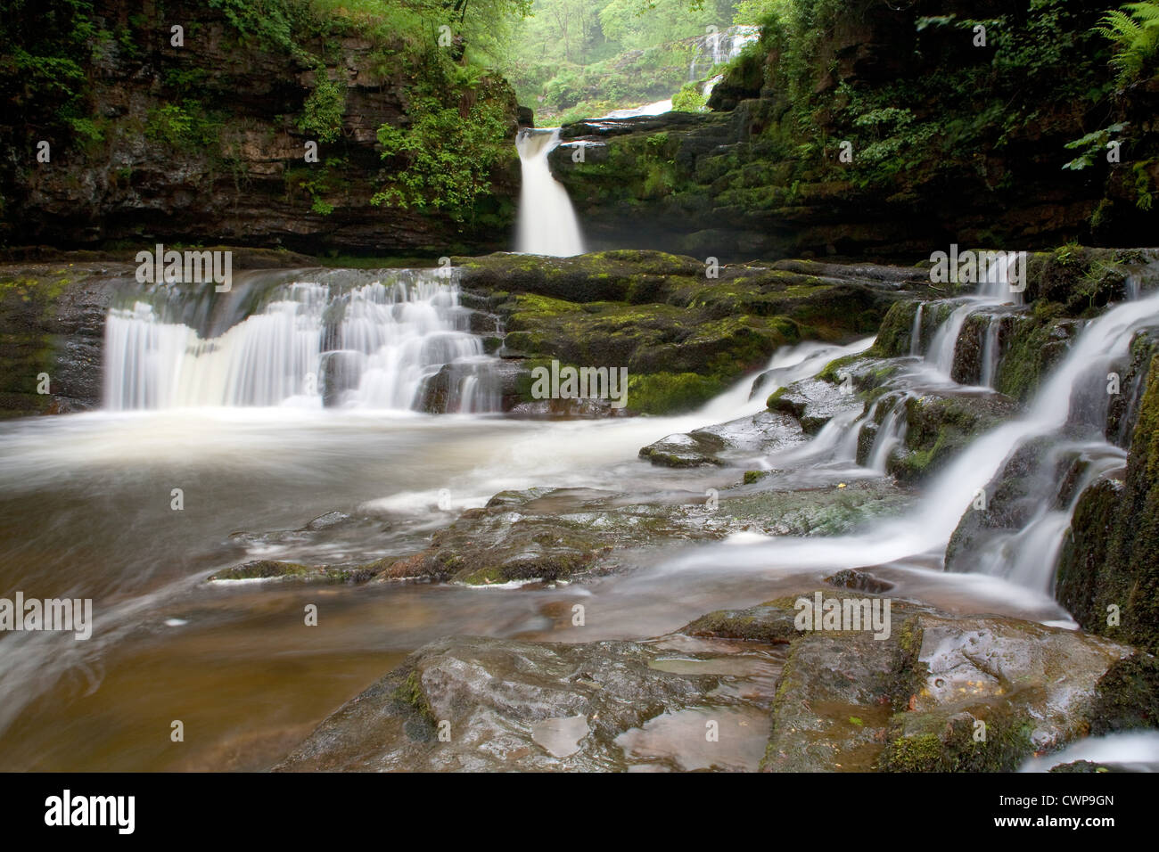 View of river with cascades and waterfall, Horseshoe Falls, River Neath