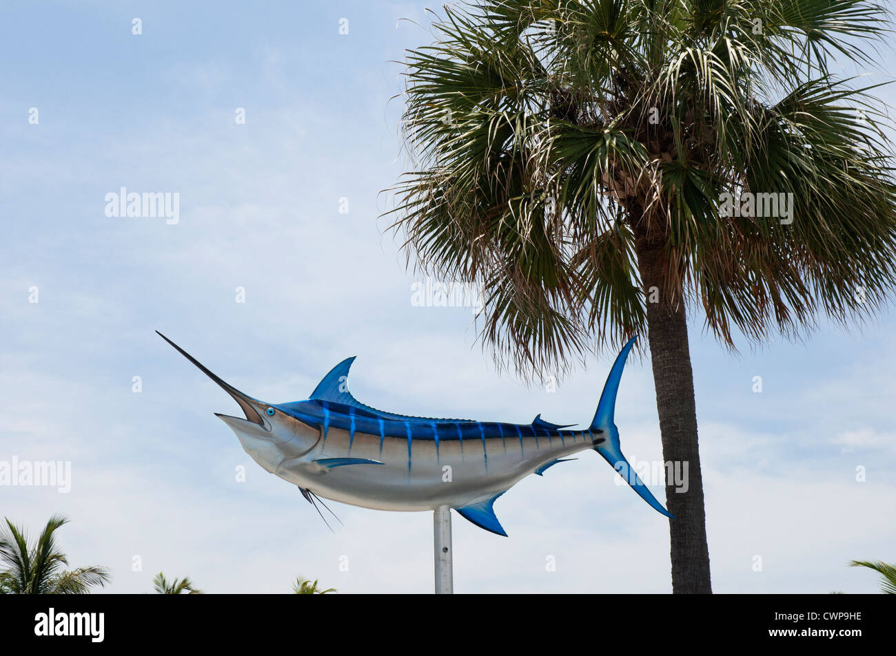 Scenes from the fishing boat area of the Bahia Mar Resort and Marina on Ft. Lauderdale, Beach, Florida. Stock Photo