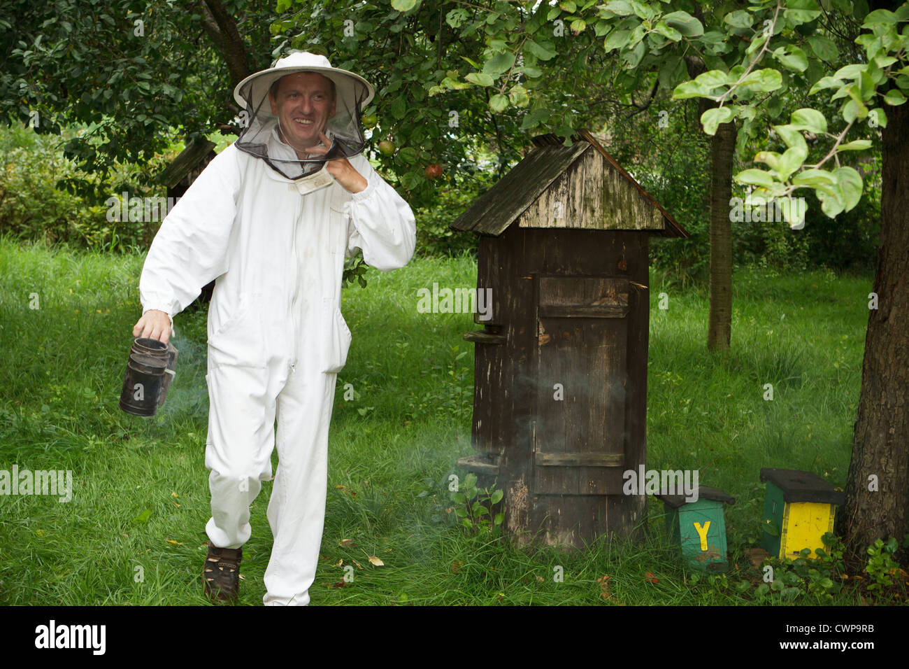 Beekeeper inspecting beehive. Stock Photo