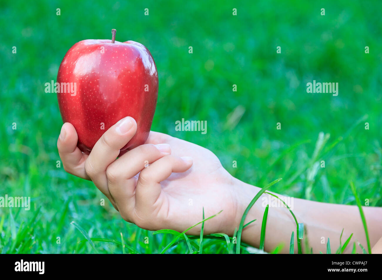 Hand holding a red apple against the grass Stock Photo