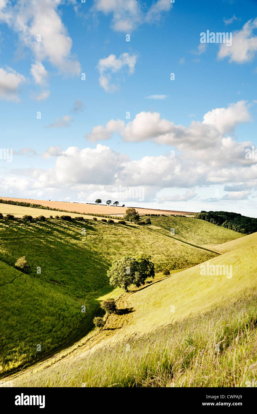 A view looking north east up Horsedale near Pocklington on the Yorkshire Wolds Stock Photo