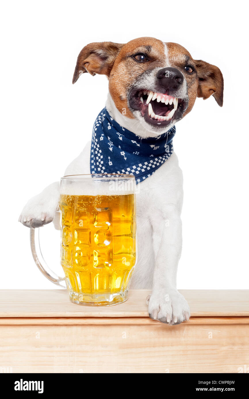 Doggy beer hires stock photography and images Alamy