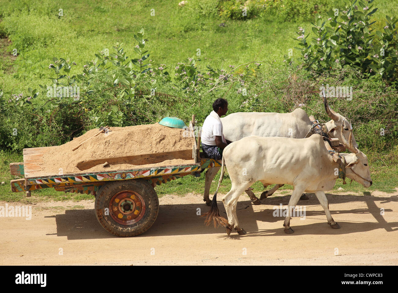 Indian farmer with bullock cart Andhra Pradesh South India Stock Photo