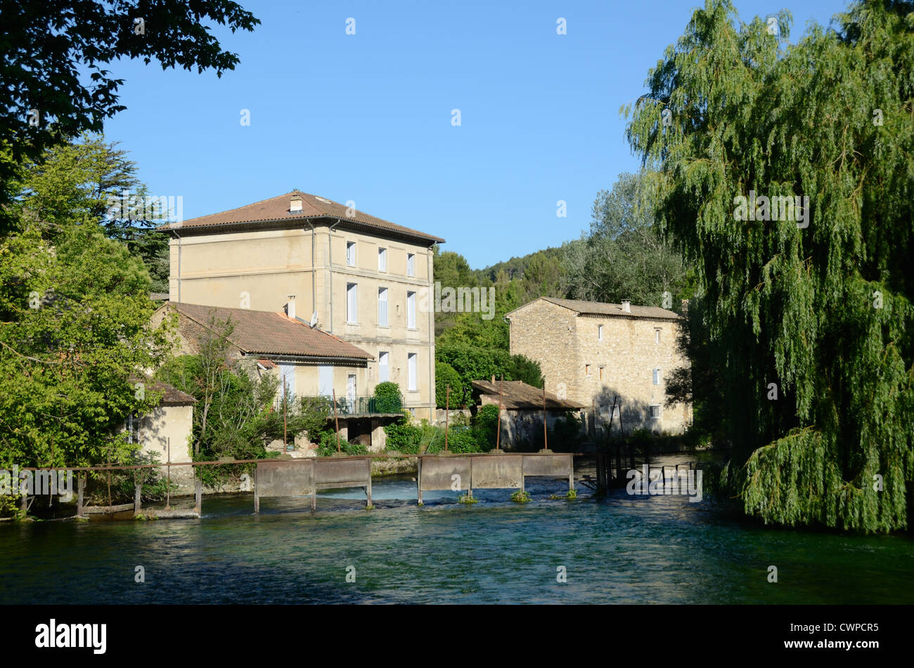 Water Mill and Weir on River Sorgue and Weeping Willow, Salix babylonica, at Fontaine-de-Vaucluse Vaucluse Provence France Stock Photo