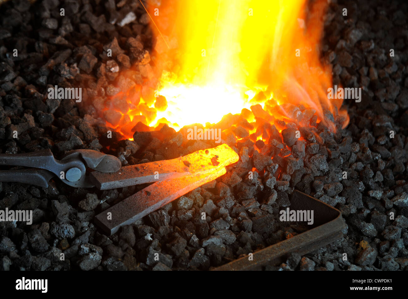 A pair of tongs gripping heated metal on glowing coal in Stock