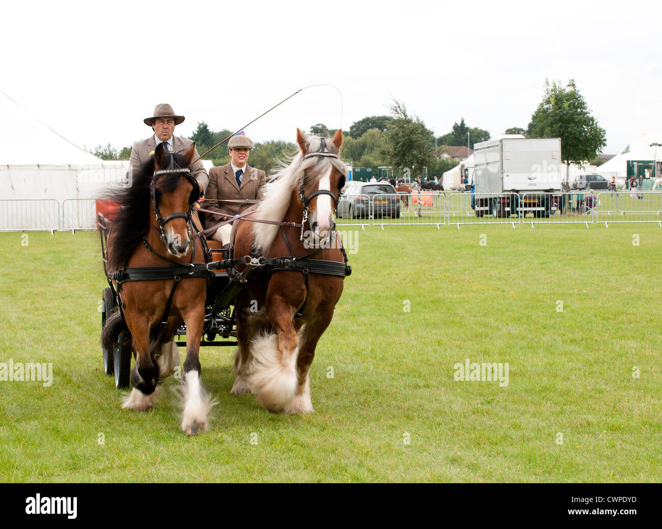 Horses pulling a carriage at the Orsett Country Show in Essex Stock