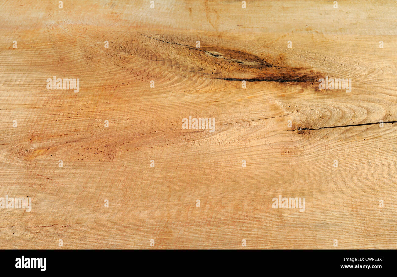 Detail of a piece of Oak wood with knots, grain and split showing Stock