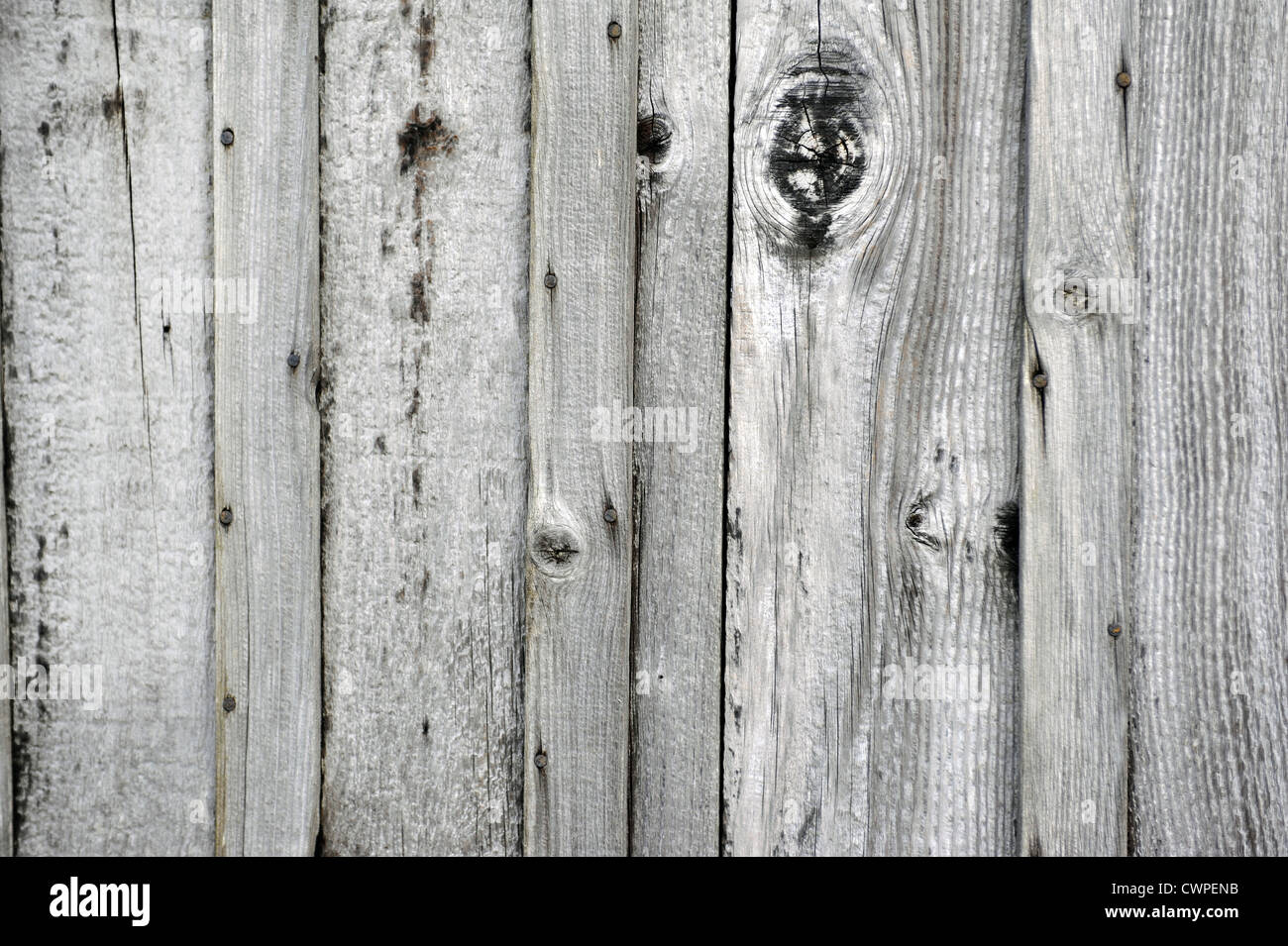 Old weatherbeaten wood with nails and knots Stock Photo