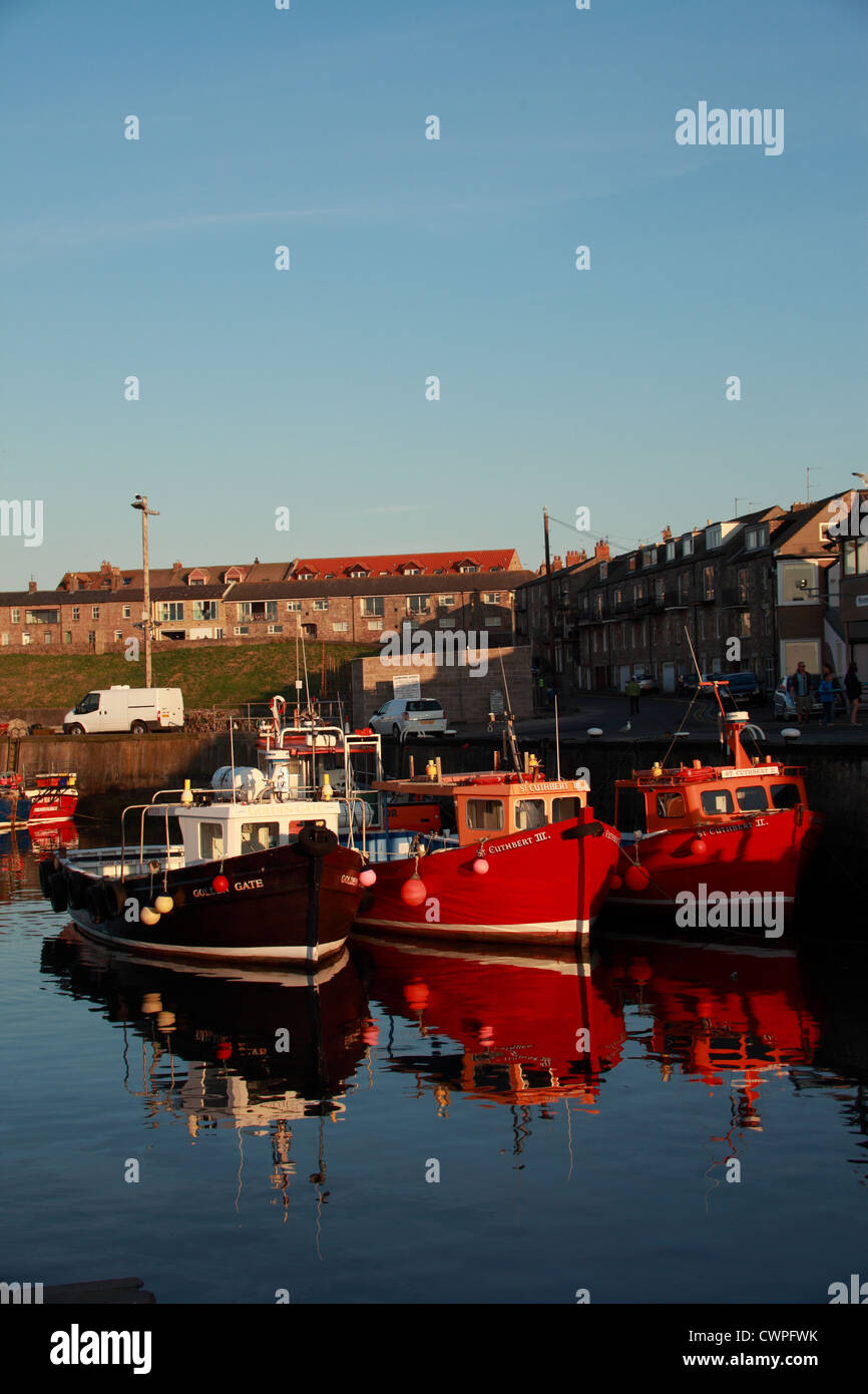 Boats in the harbour, Seahouses, Northumberland UK Stock Photo - Alamy