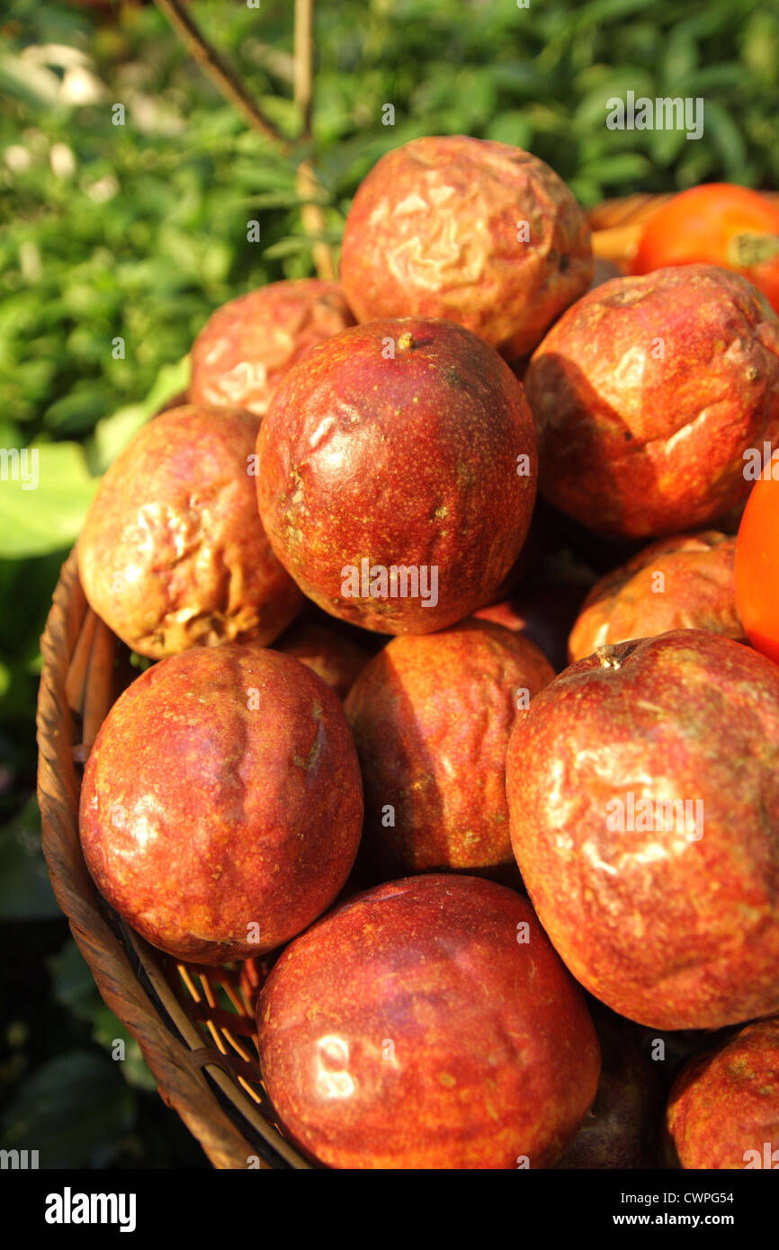 Passion fruits in fruit hi-res stock photography and images - Alamy
