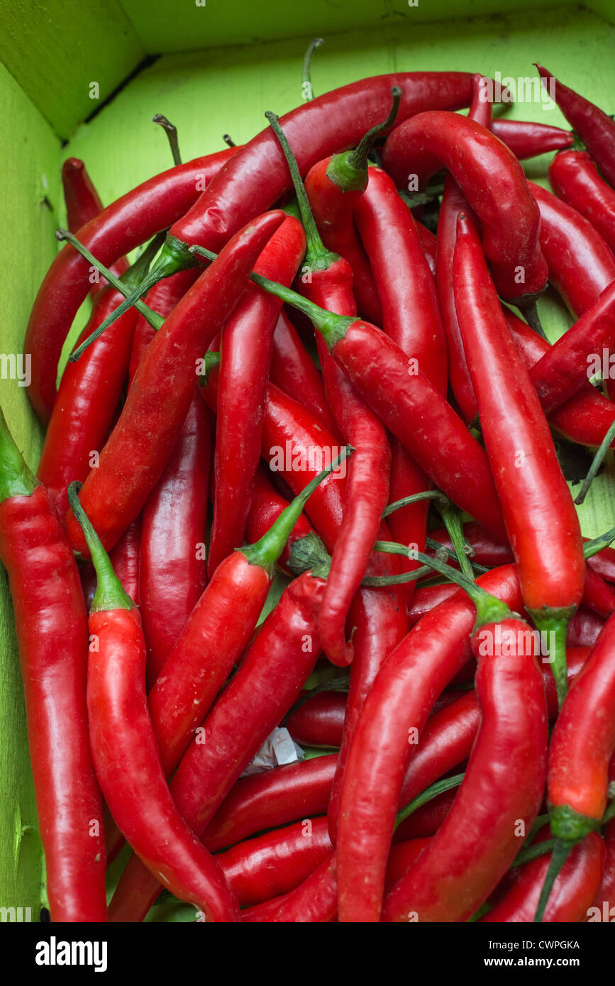 Red Chillies on sale at Cork City's English Market, Republic of Ireland
