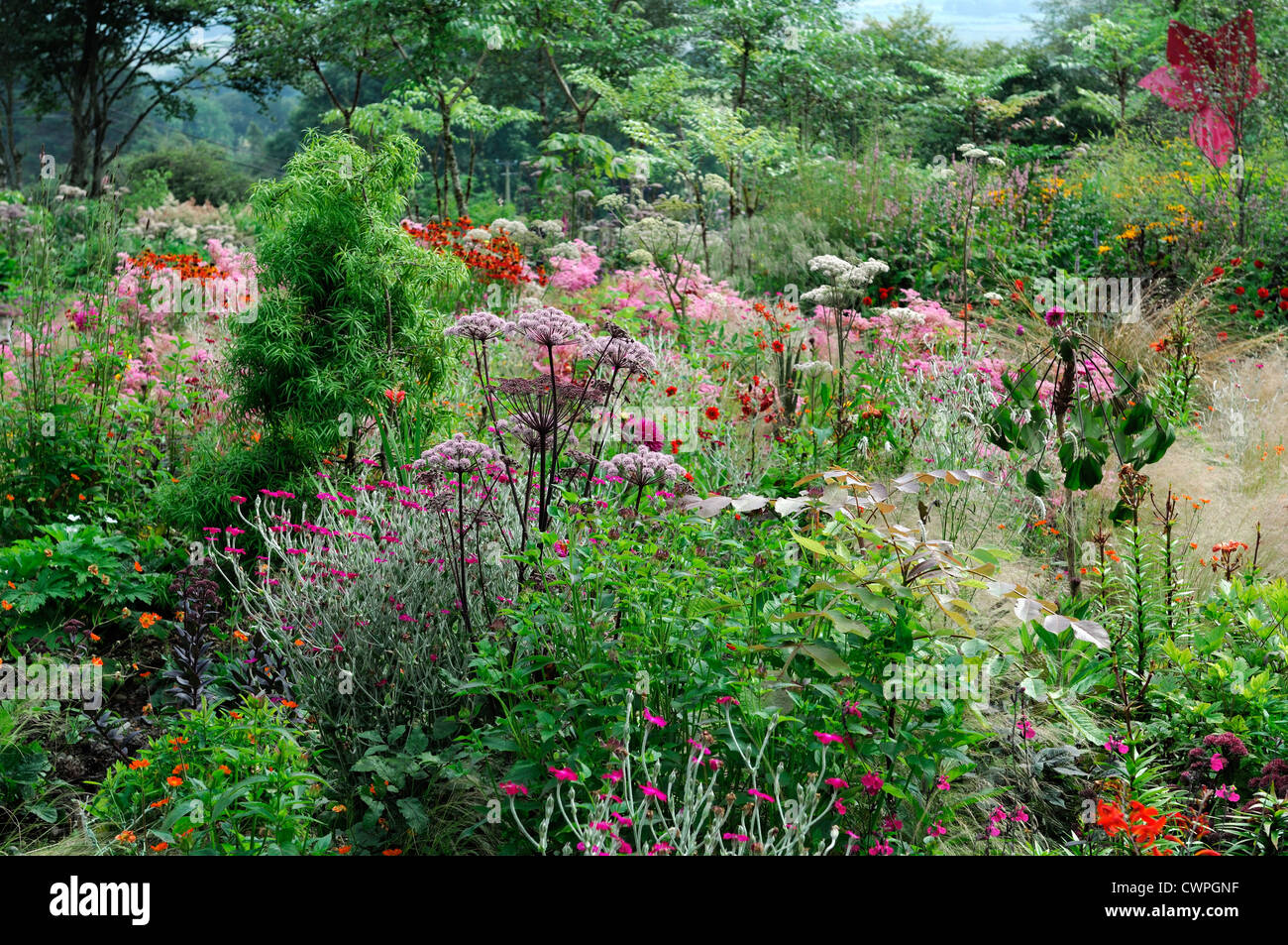 filipendula rubra mix mixed perennial border combo combination planting scheme pink red white flower bloom blooming Stock Photo