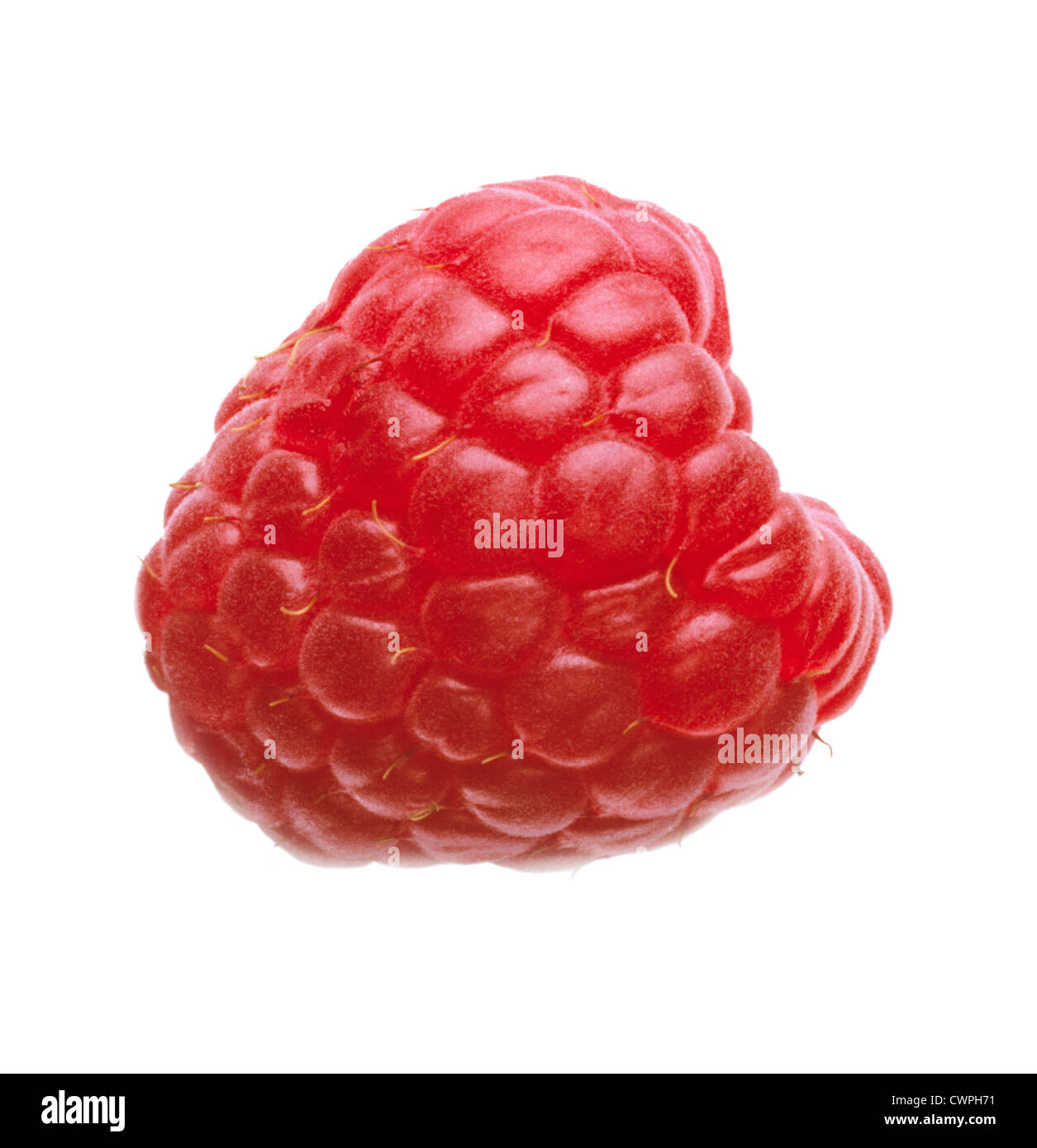 Idaeus Raspberry Idaeus raspberry Cut Out Stock Images & Pictures - Alamy