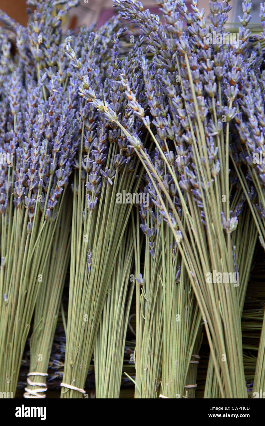 Lavender bunches for sale at the Berkeley Farmers' Market Stock Photo