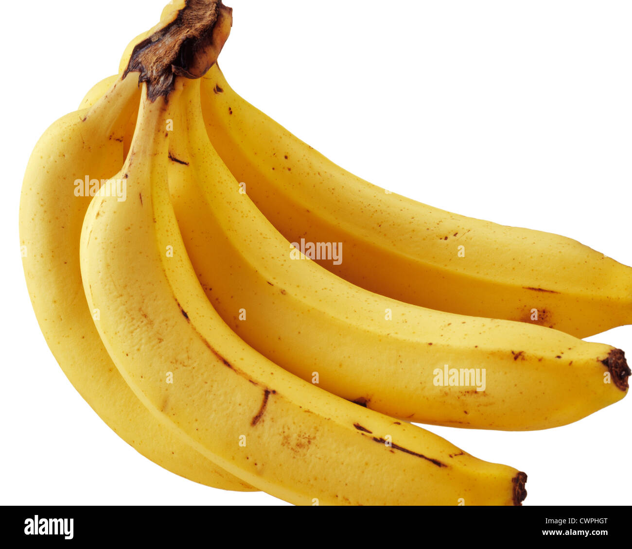 Musa, Banana Stock Photo
