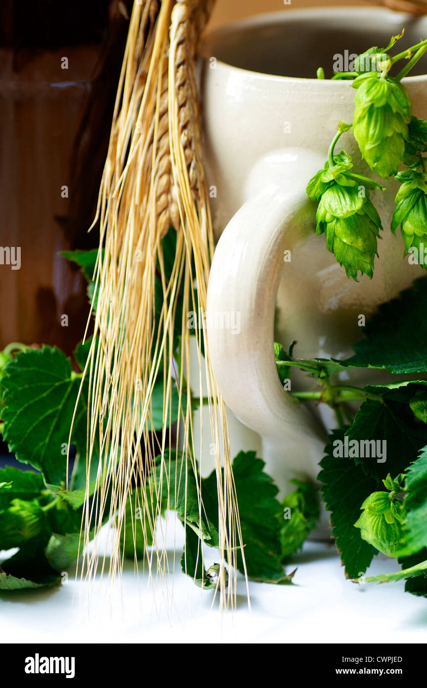 Stein Beer Mug with barley and hops, beer's most important ingredients Stock Photo
