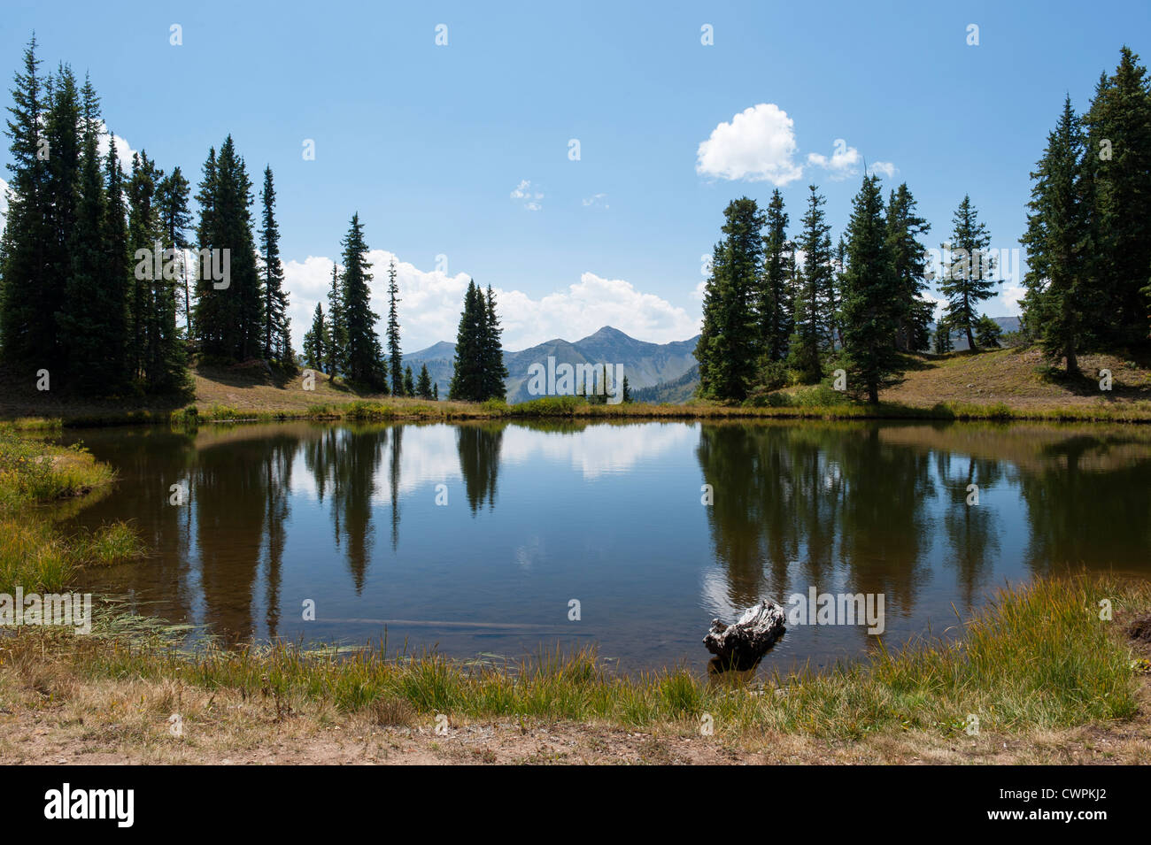 Unnamed pond on the Paradise Divide (elevation 11,300 feet) above