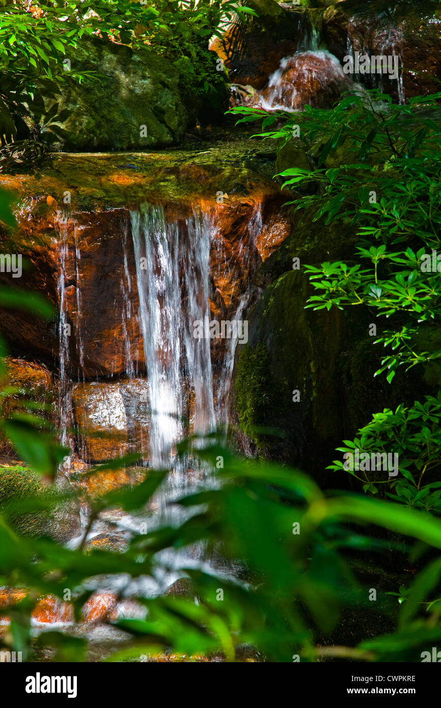 Garden waterfall feature hi-res stock photography and images - Alamy