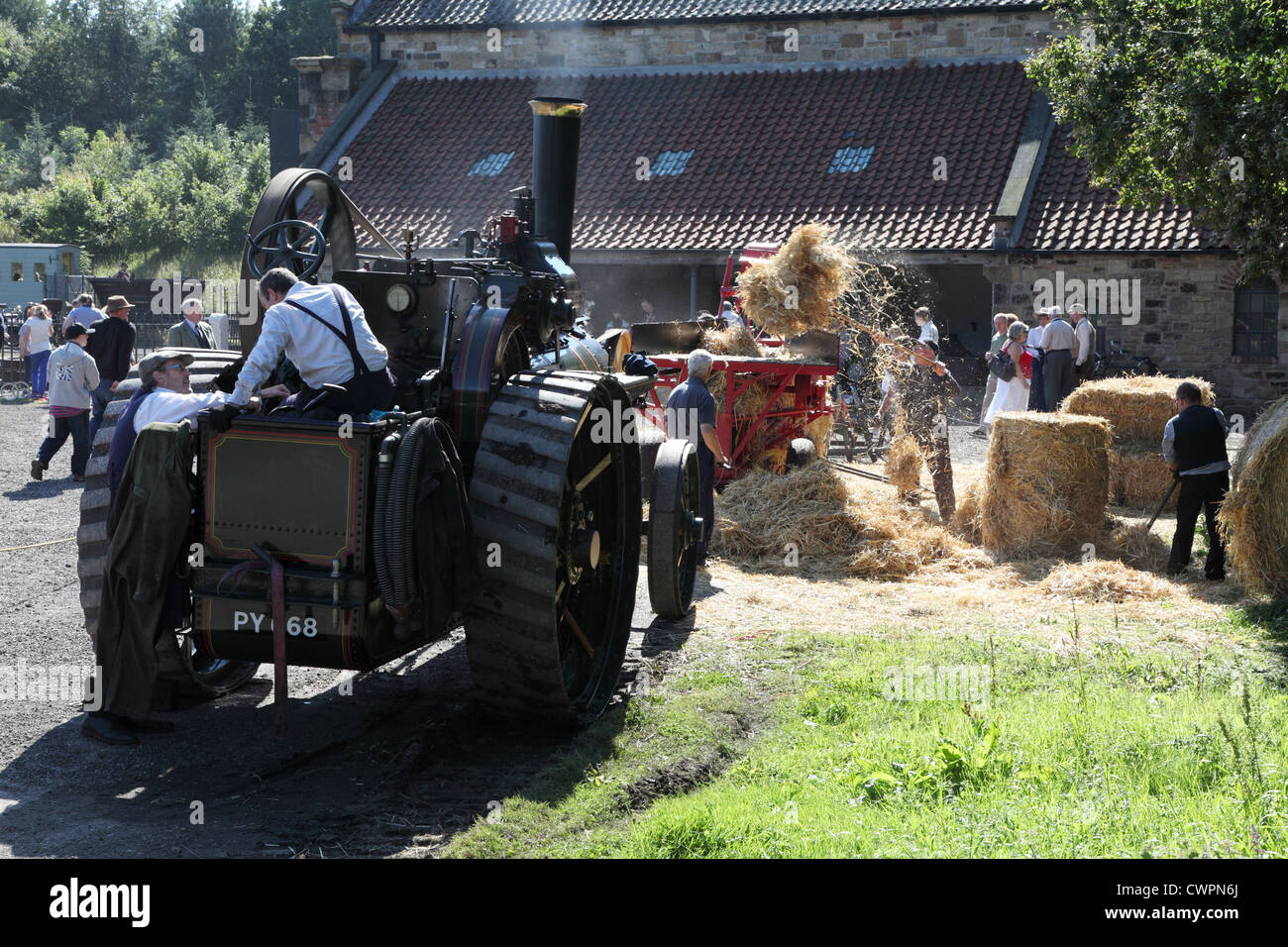 1908 Wallis and Steevens steam traction engine driving hay baling machine Beamish Museum, north east England, UK Stock Photo