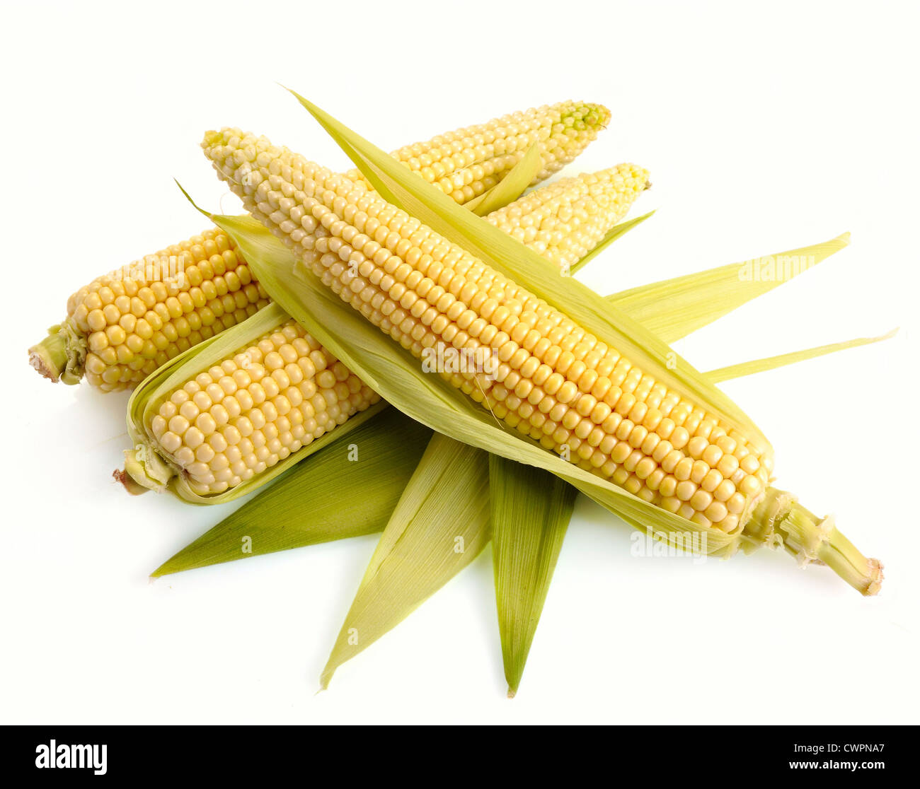 fresh corn fruits with green leaves isolated on white background Stock Photo