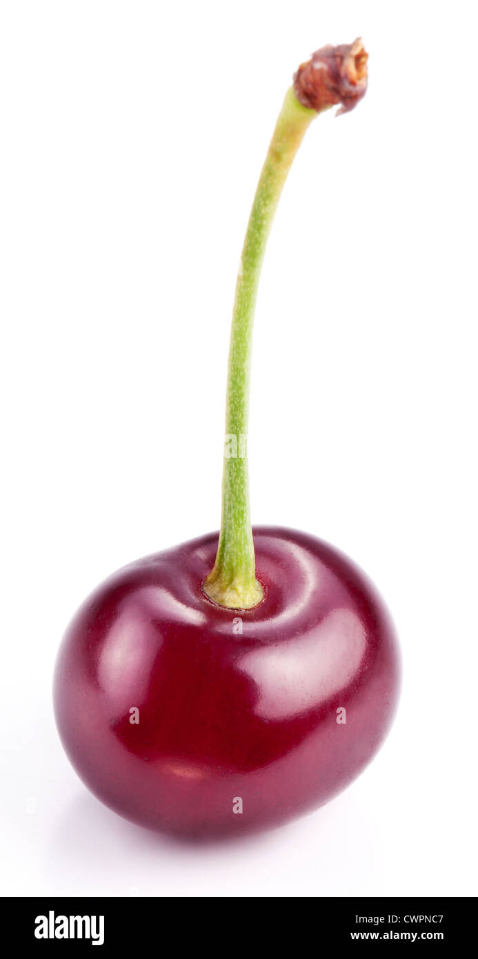 Cherry on a white background. Stock Photo