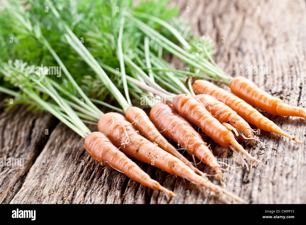 Carrots with leaves on a old wooden table. Stock Photo