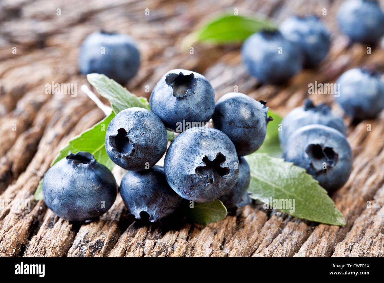 Blueberries with leaves on a old wooden table. Stock Photo