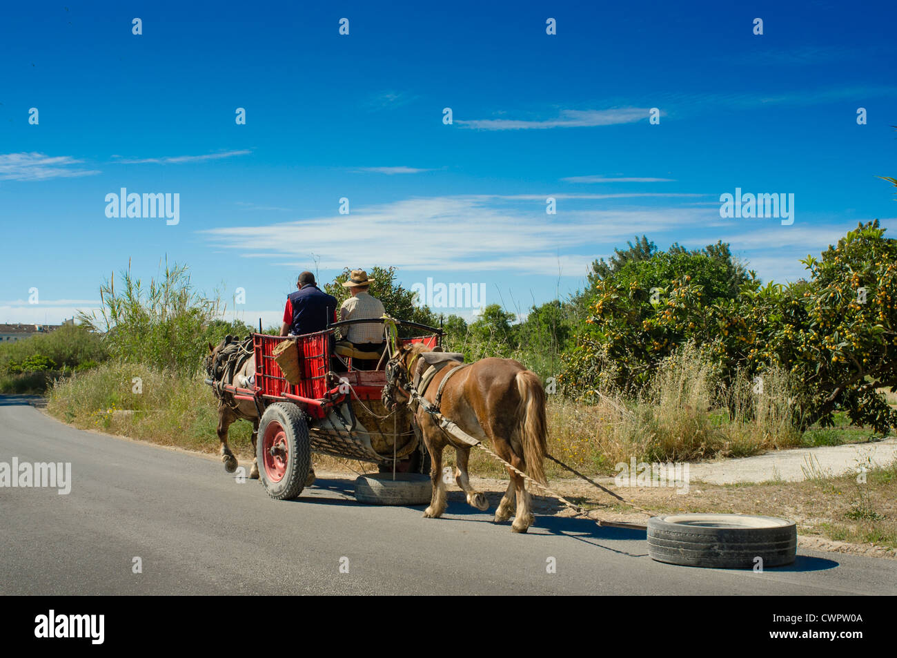 Horses pulling cart hires stock photography and images Alamy