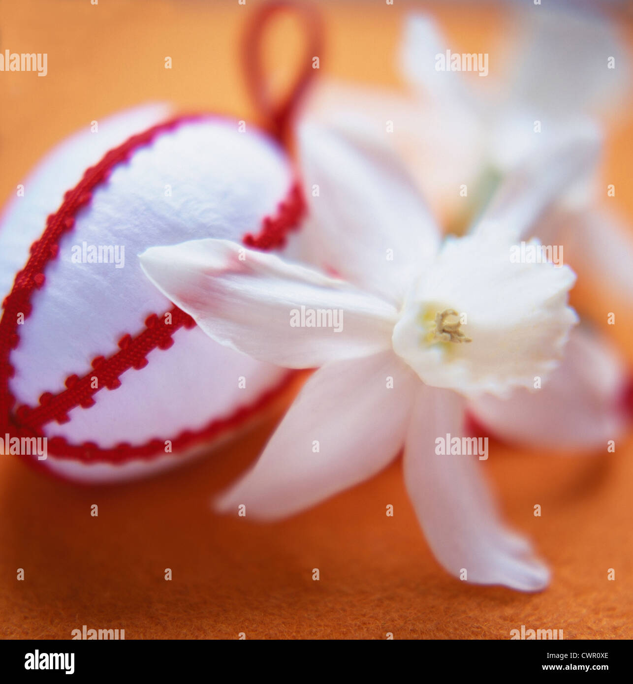 Narcissus, cut white flower beside a red and white fabric decoration. Stock Photo