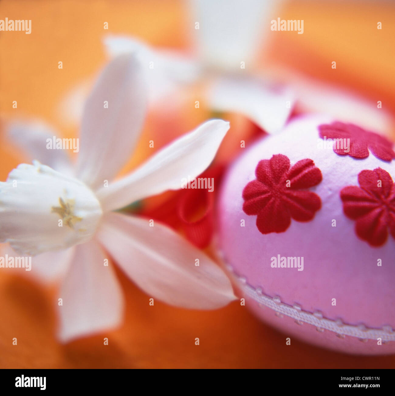 Narcissus, cut white flower beside a red and white fabric decoration. Stock Photo
