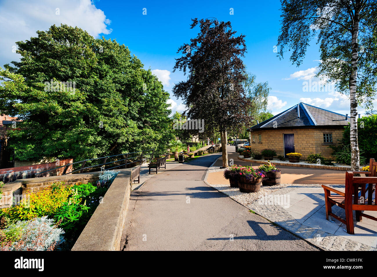 A colourful view of Pickering showing the summer flowers near the