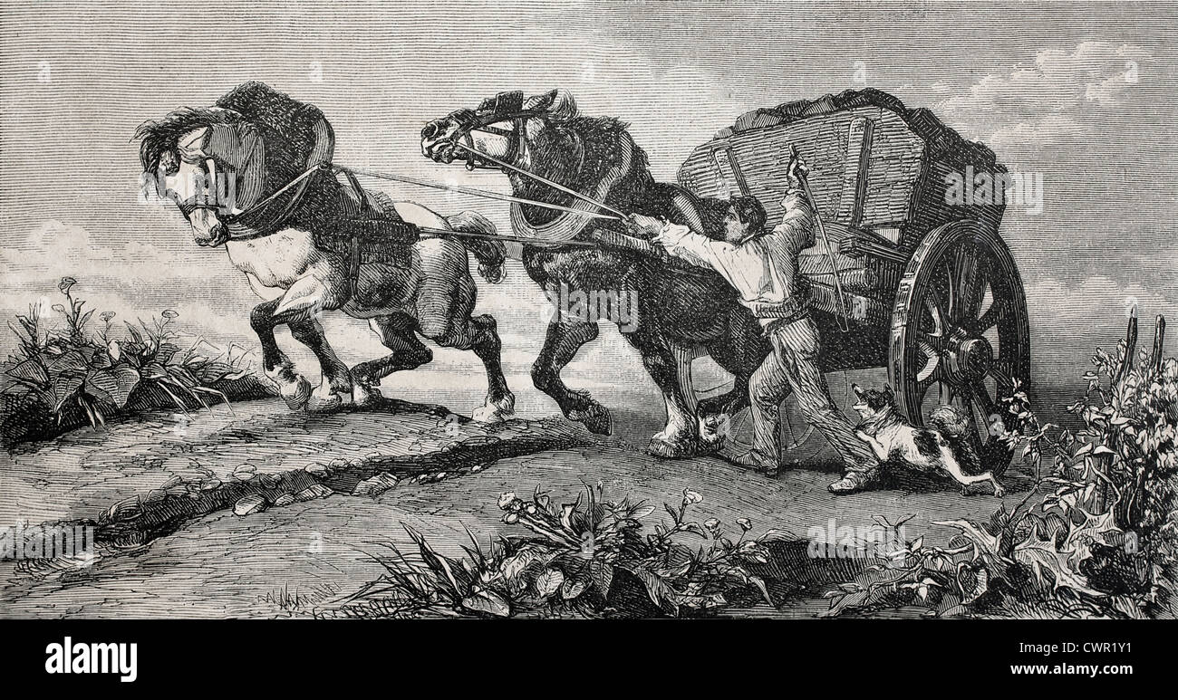 Two wheel horse cart hires stock photography and images Alamy