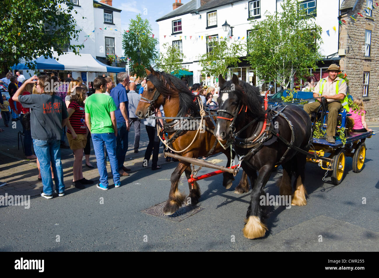 Horse and cart rides for visitors at Bromyard Hop Festival, Bromyard