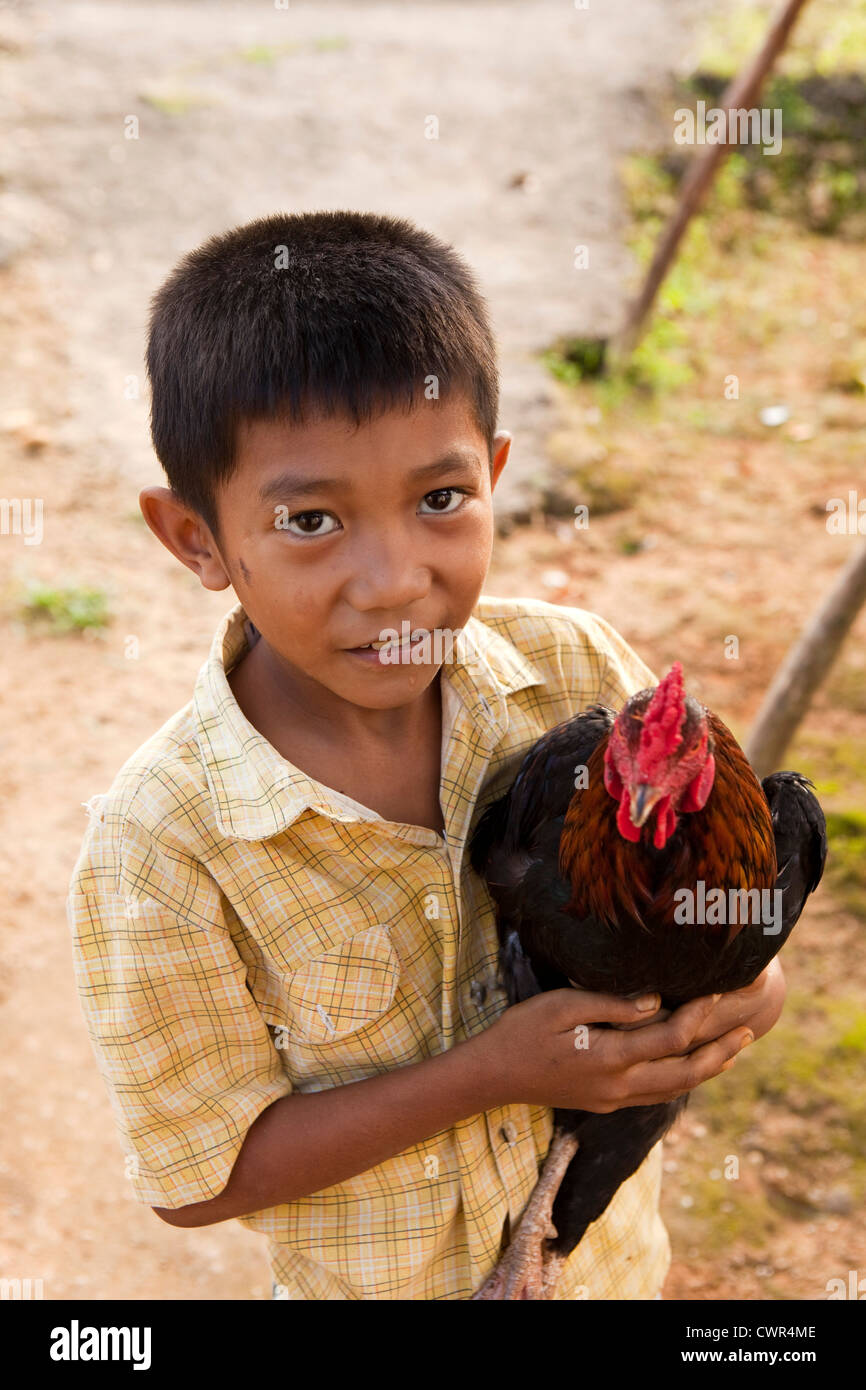 Indonesia, Sulawesi, Labundo Bundo village, child holding domestic chicken Stock Photo