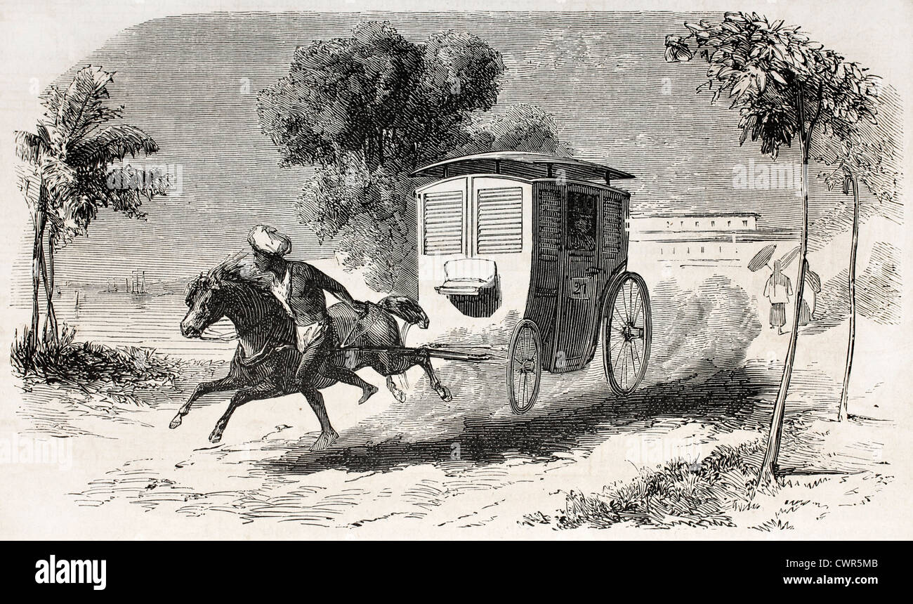 Horse litter hires stock photography and images Alamy