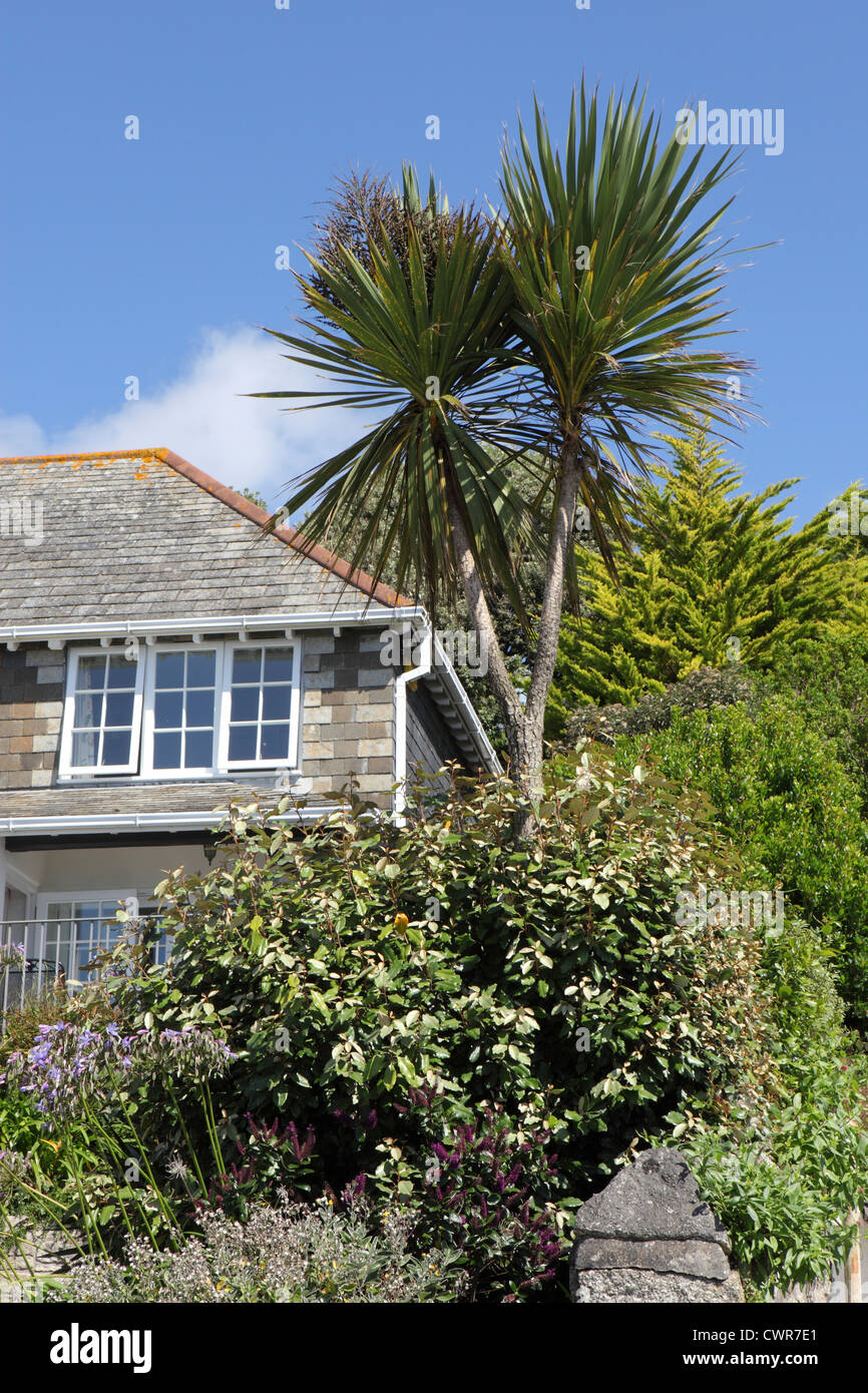 UK housing stock exterior blue sky sunny, Cornwall, UK. House detail, roof, window, garden Cornish pine Stock Photo