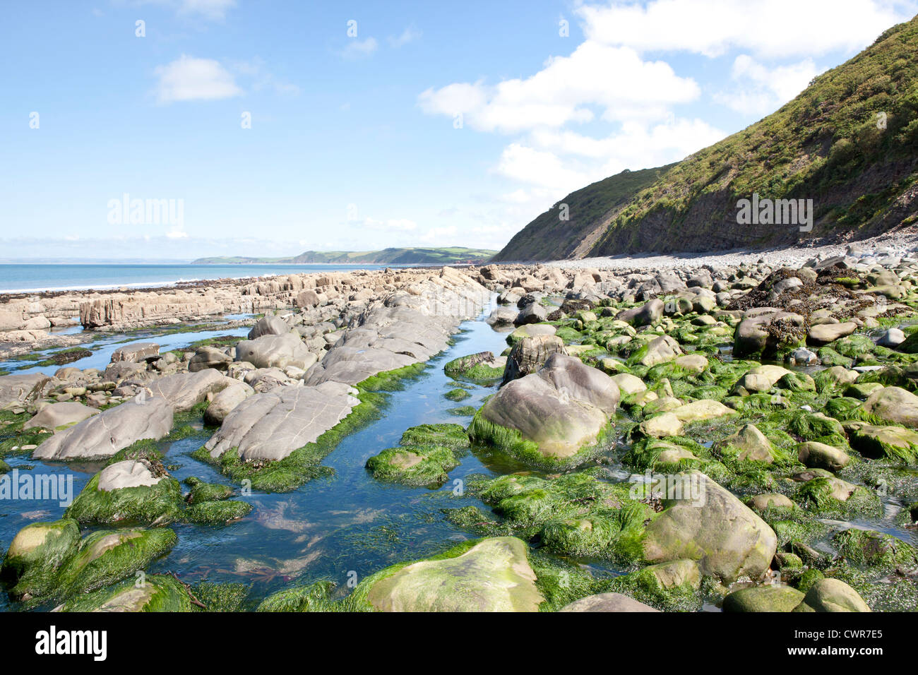 Our beautiful Earth Stock Photo