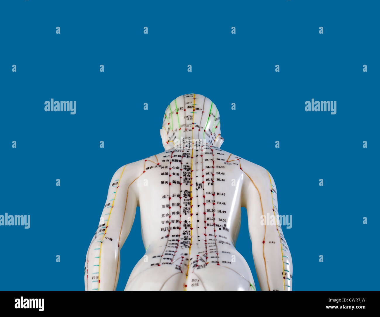 A female model with marked acupuncture points, Chinese characters on the meridians, traditional Chinese medicine Stock Photo