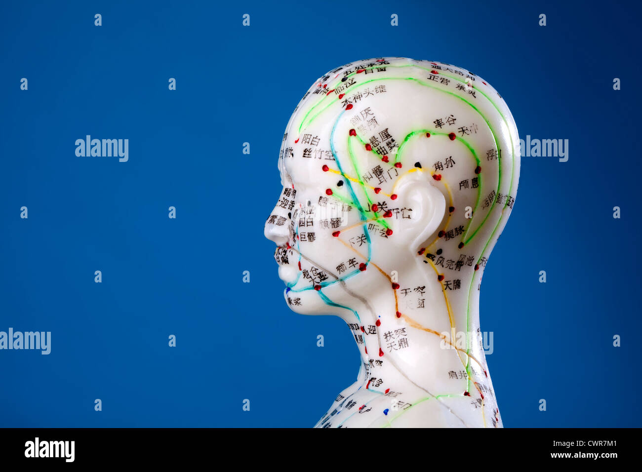 A female model with marked acupuncture points, Chinese characters on