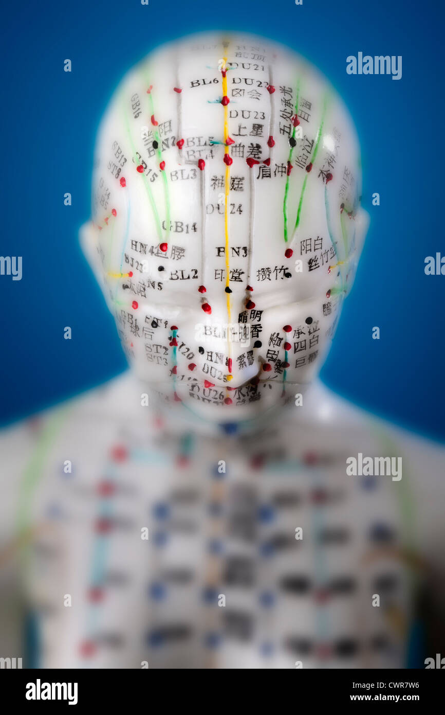 A female model with marked acupuncture points, Chinese characters on