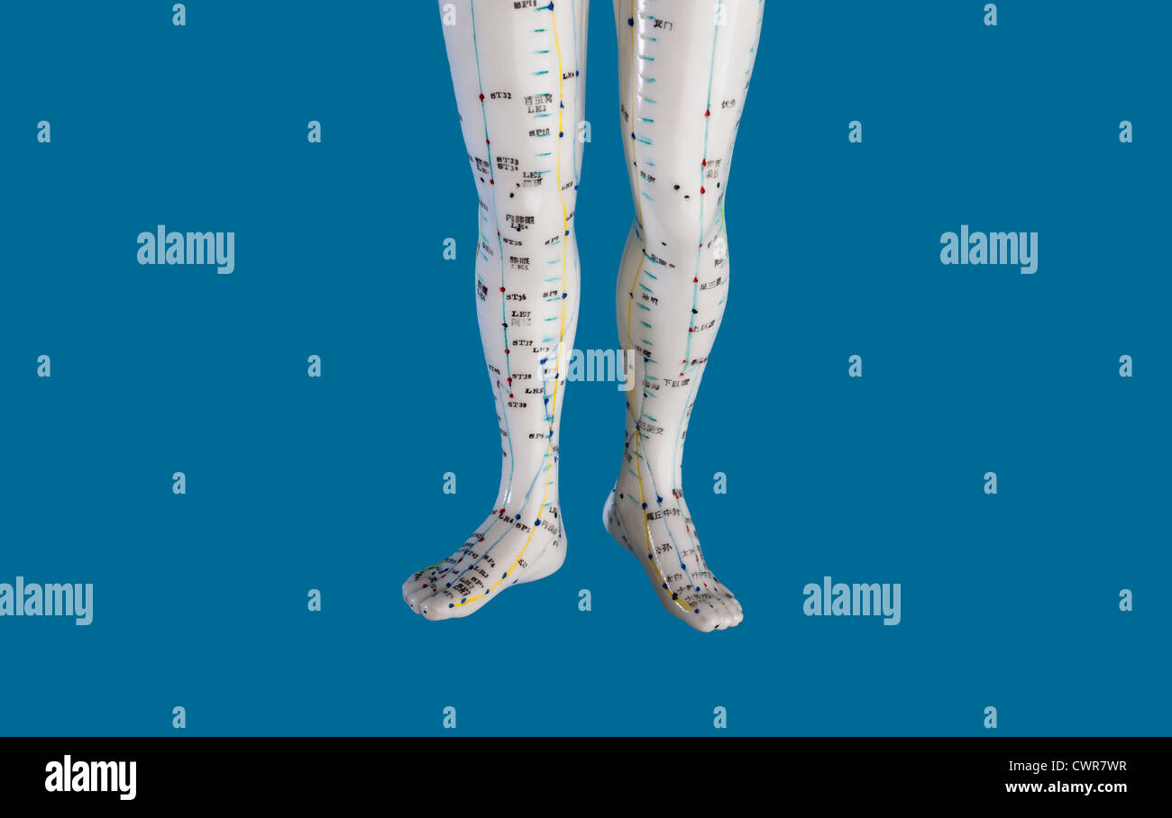 A female model with marked acupuncture points, Chinese characters on