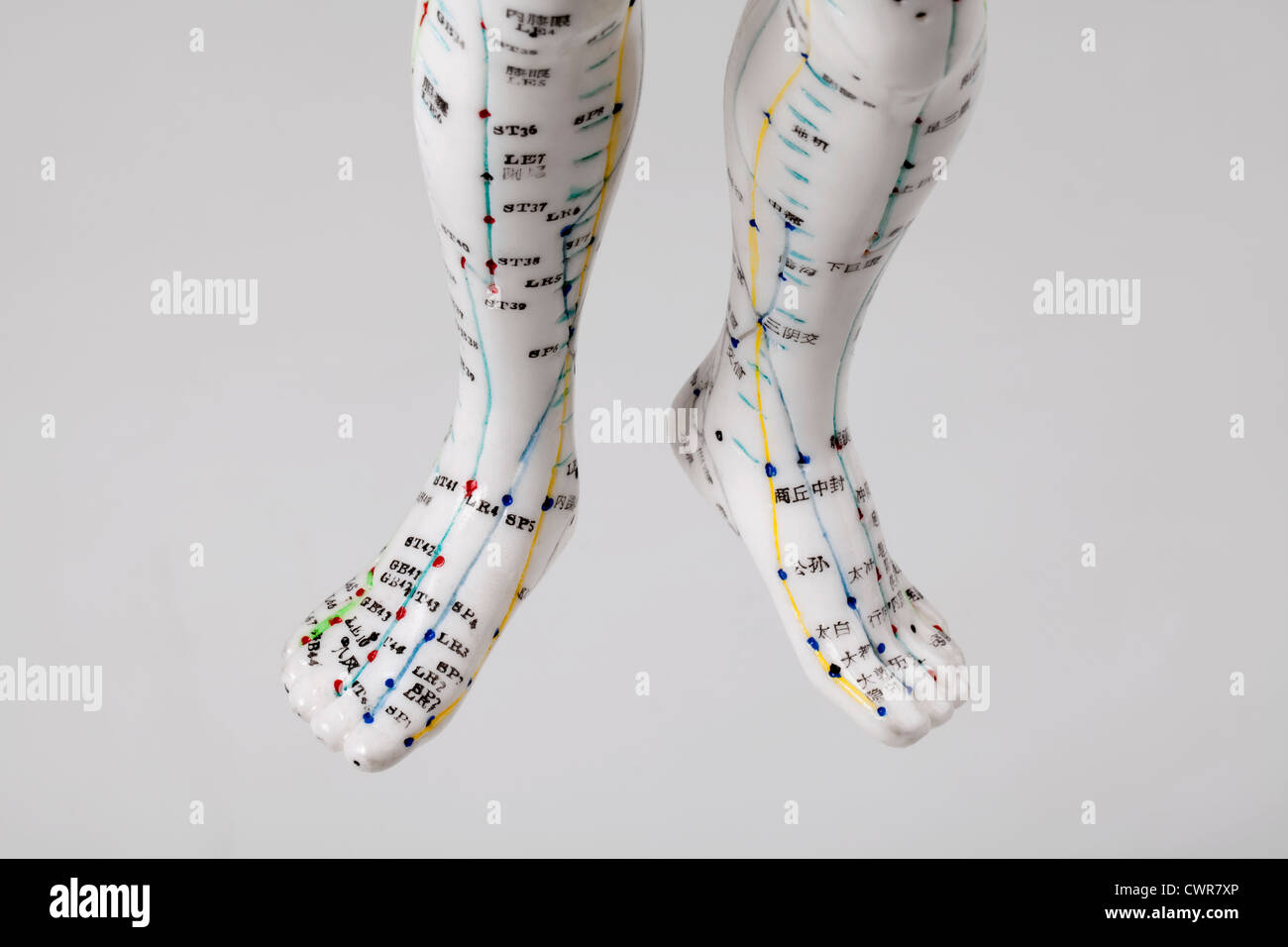 A female model with marked acupuncture points, Chinese characters on