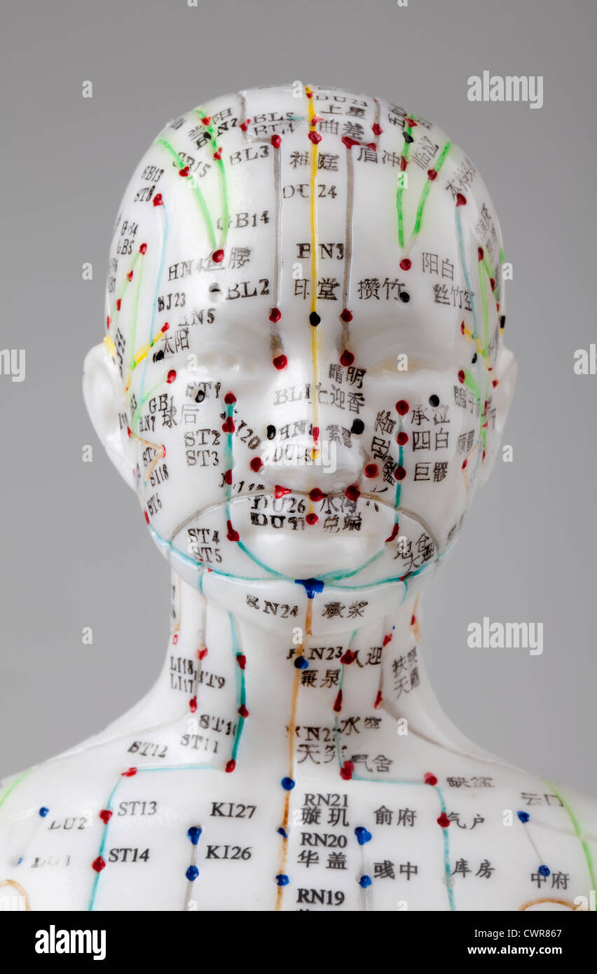 A female model with marked acupuncture points, Chinese characters on the  meridians, traditional Chinese medicine Stock Photo - Alamy