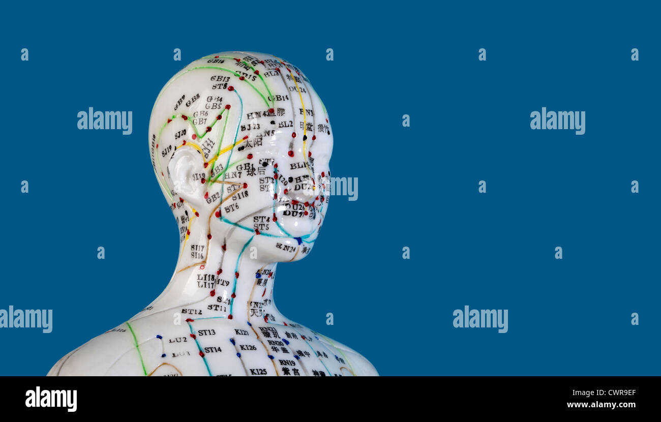 A female model with marked acupuncture points, Chinese characters on