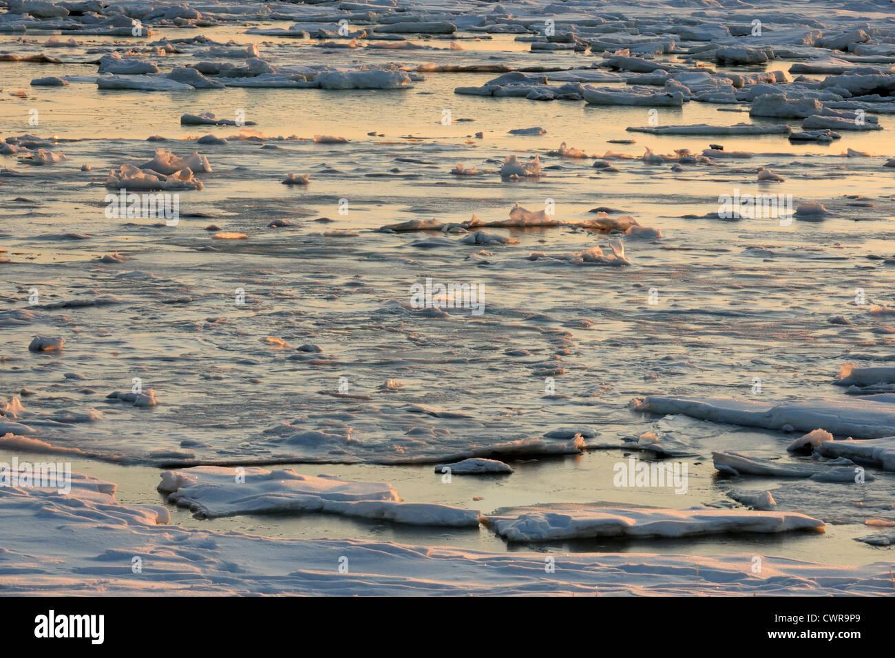 Hudson Bay in early winter, Seal River Heritage Lodge, Churchill