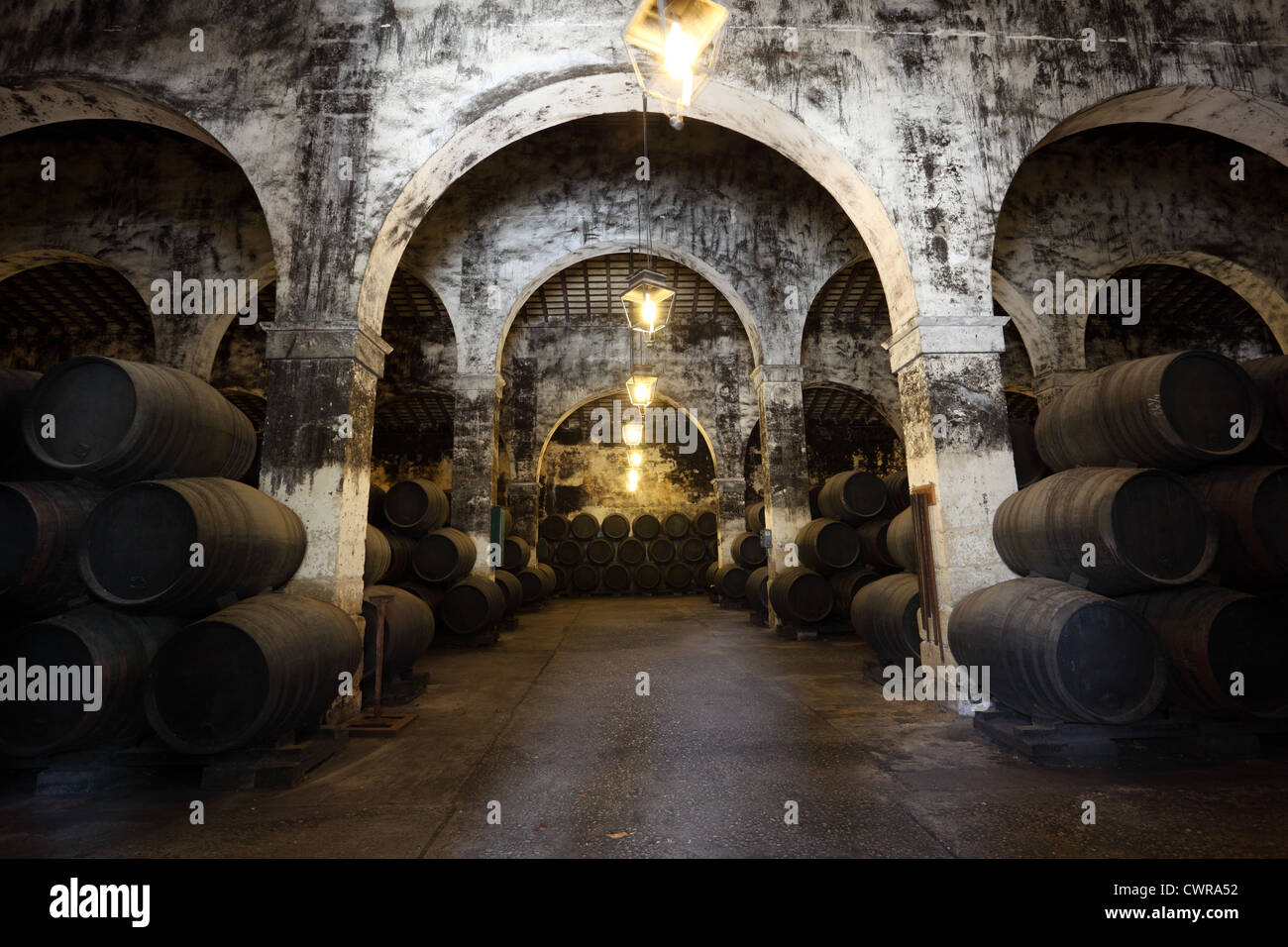 Ancient wine cellar with wooden wine barrels Stock Photo Alamy