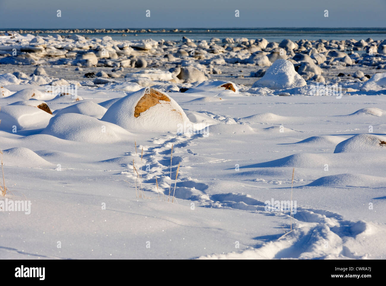 Hudson Bay shoreline in early winter, Seal River Heritage Lodge