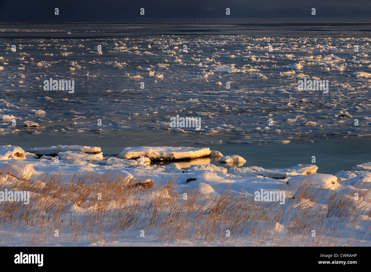 Hudson Bay shoreline in early winter, Seal River Heritage Lodge