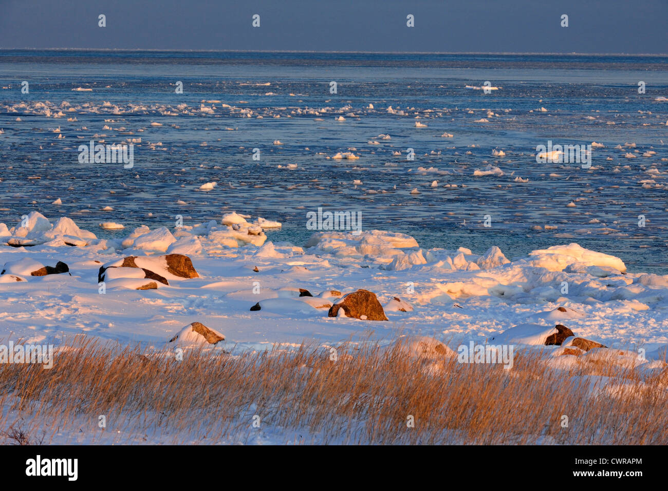 Hudson Bay shoreline in early winter, Seal River Heritage Lodge